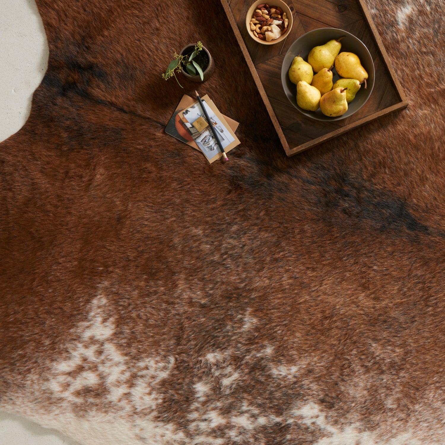 Loloi Grand Canyon Coffee/Ivory Power Loomed Rug