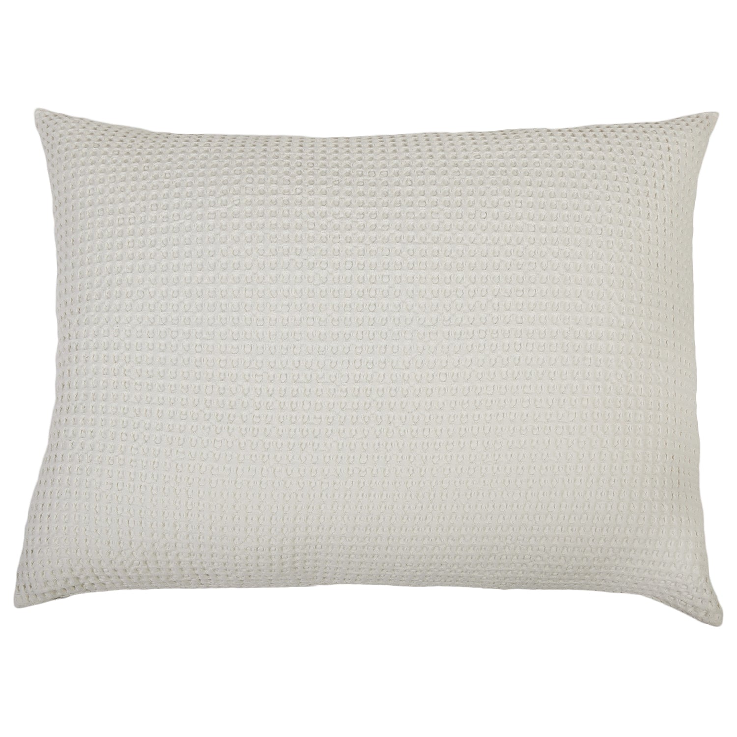 Pom Pom at Home Zuma Big Pillow
