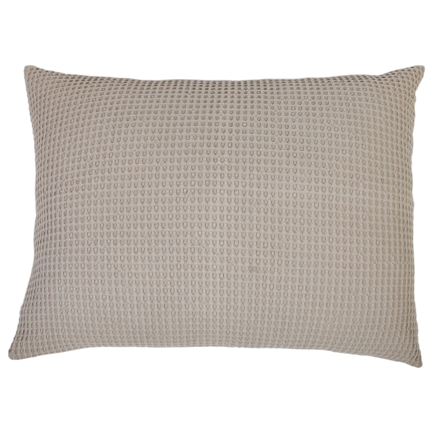 Pom Pom at Home Zuma Big Pillow
