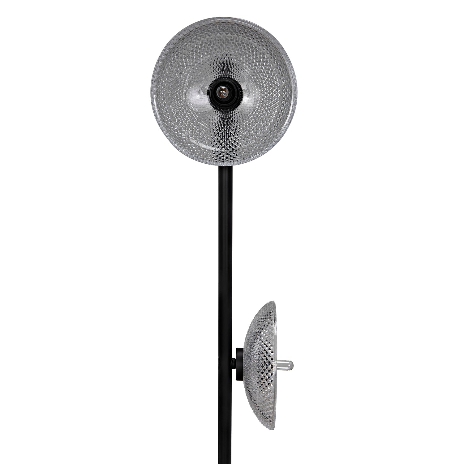 Noir Natilus Floor Lamp
