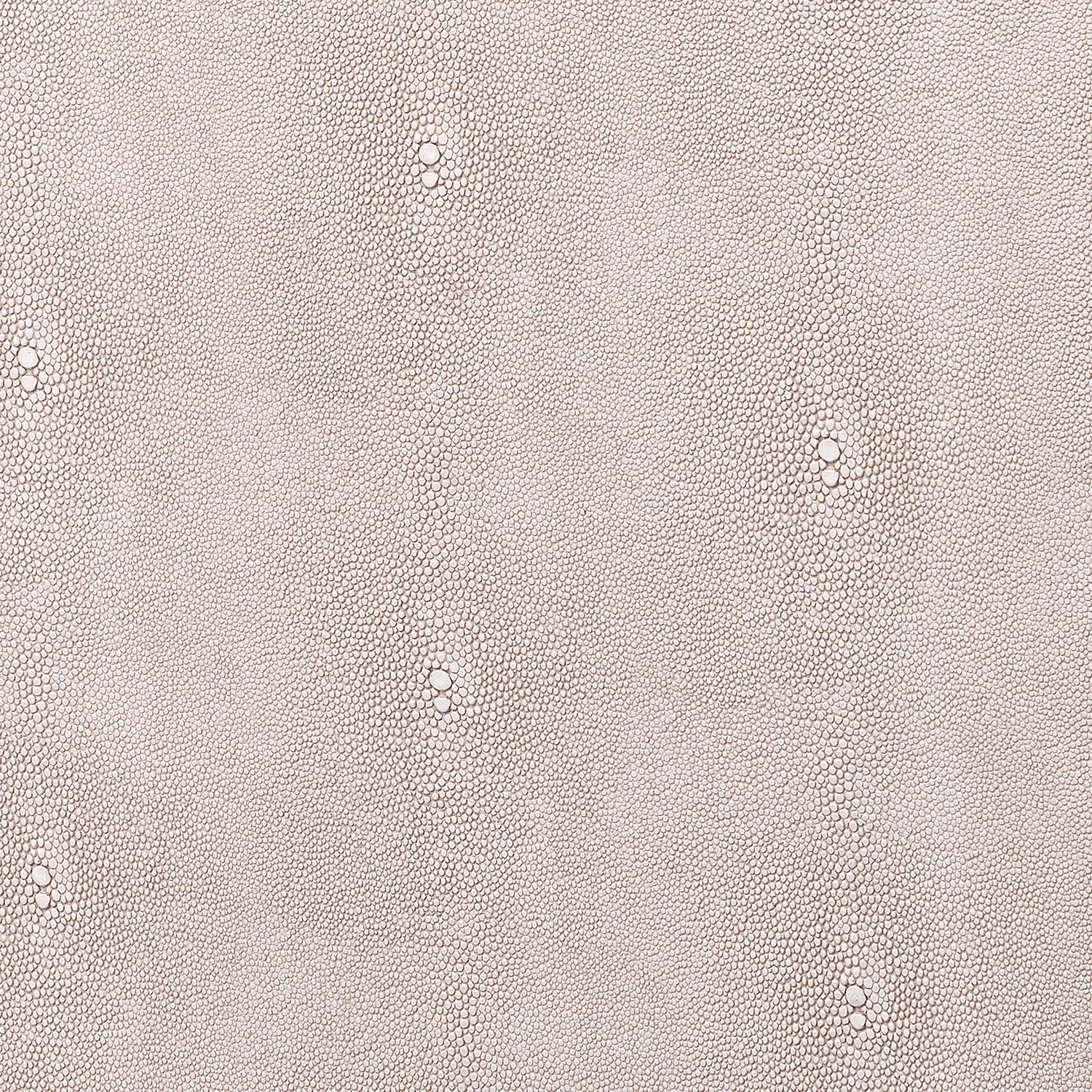 Lifestyle by Jamie Young Block Shagreen Square Side Table