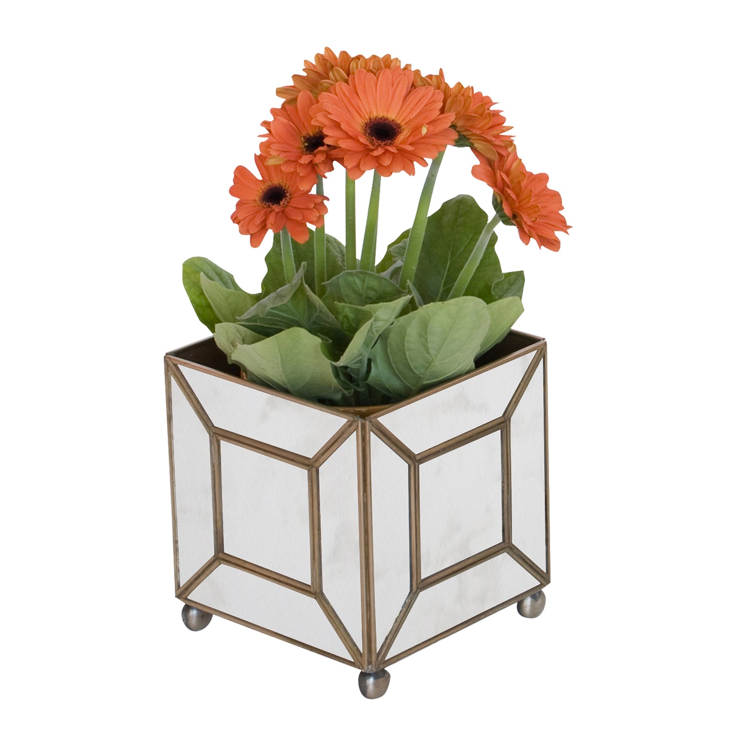 mirror plant pot Worlds Away Antique Mirror Classic Planter