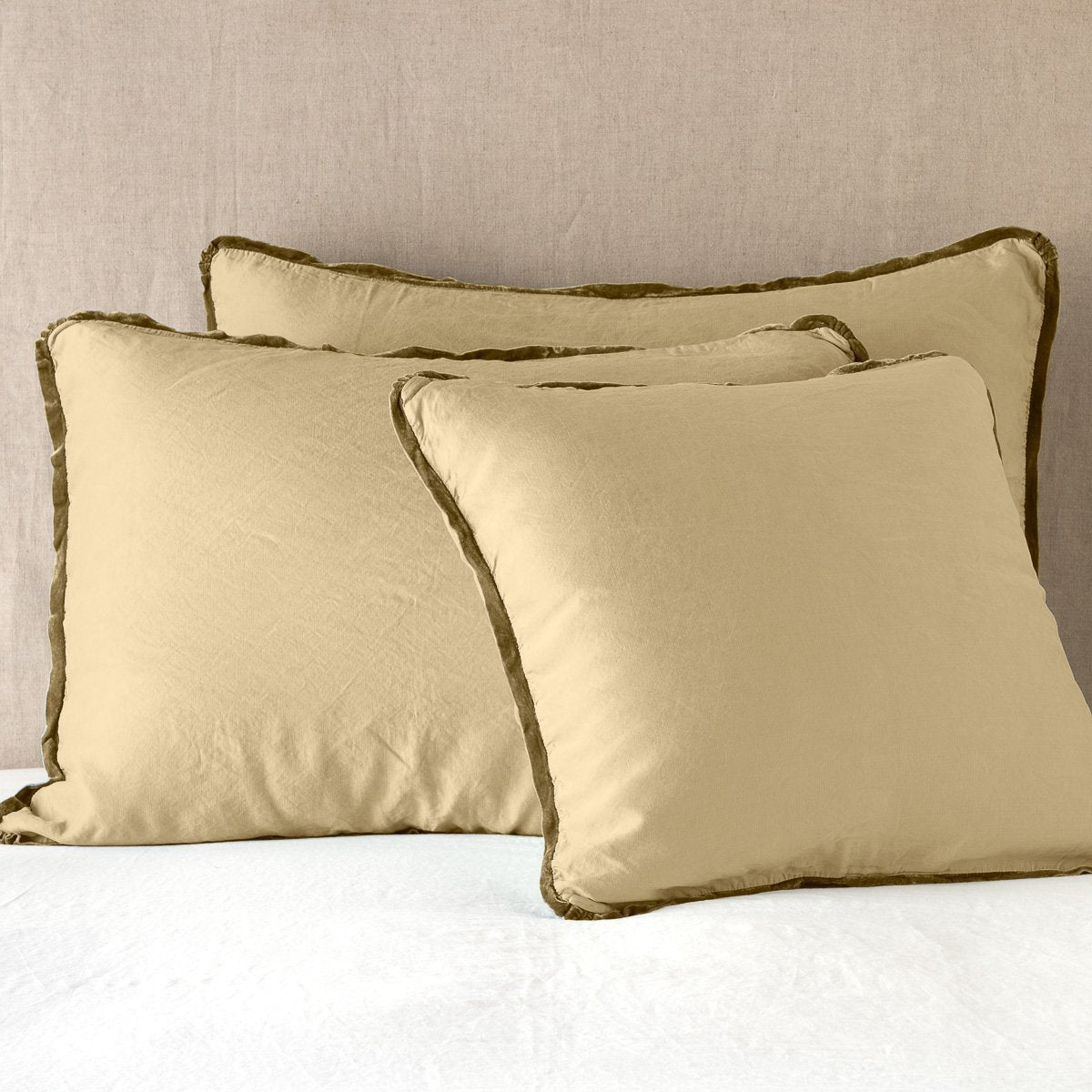 Bella Notte Paloma Pillow Sham