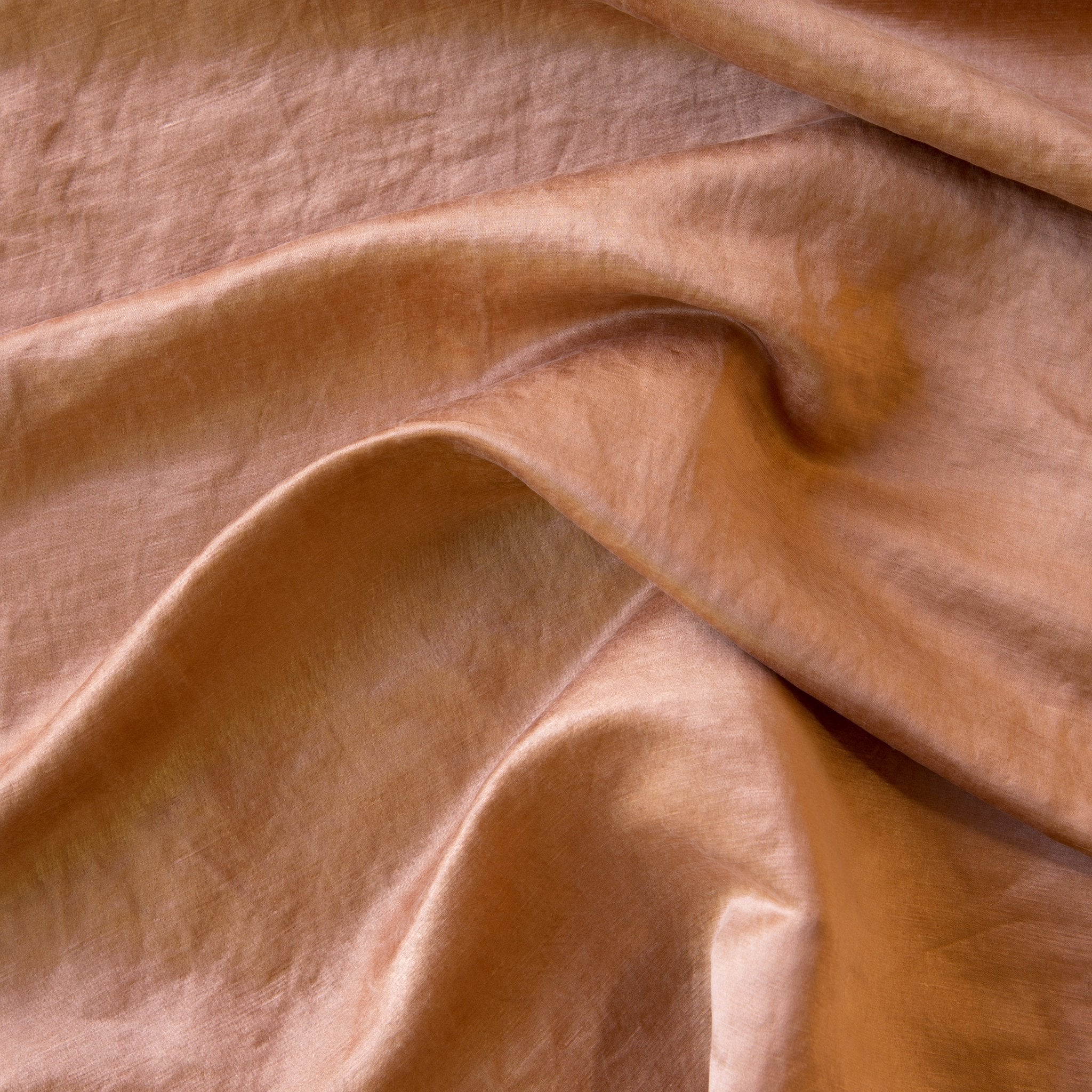 Bella Notte Paloma Pillow Sham