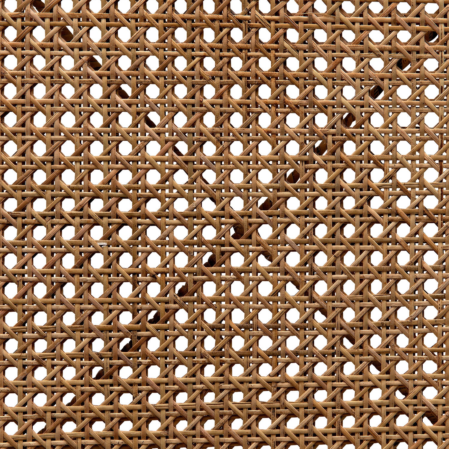 Noir Udine Teak Chair With Caning