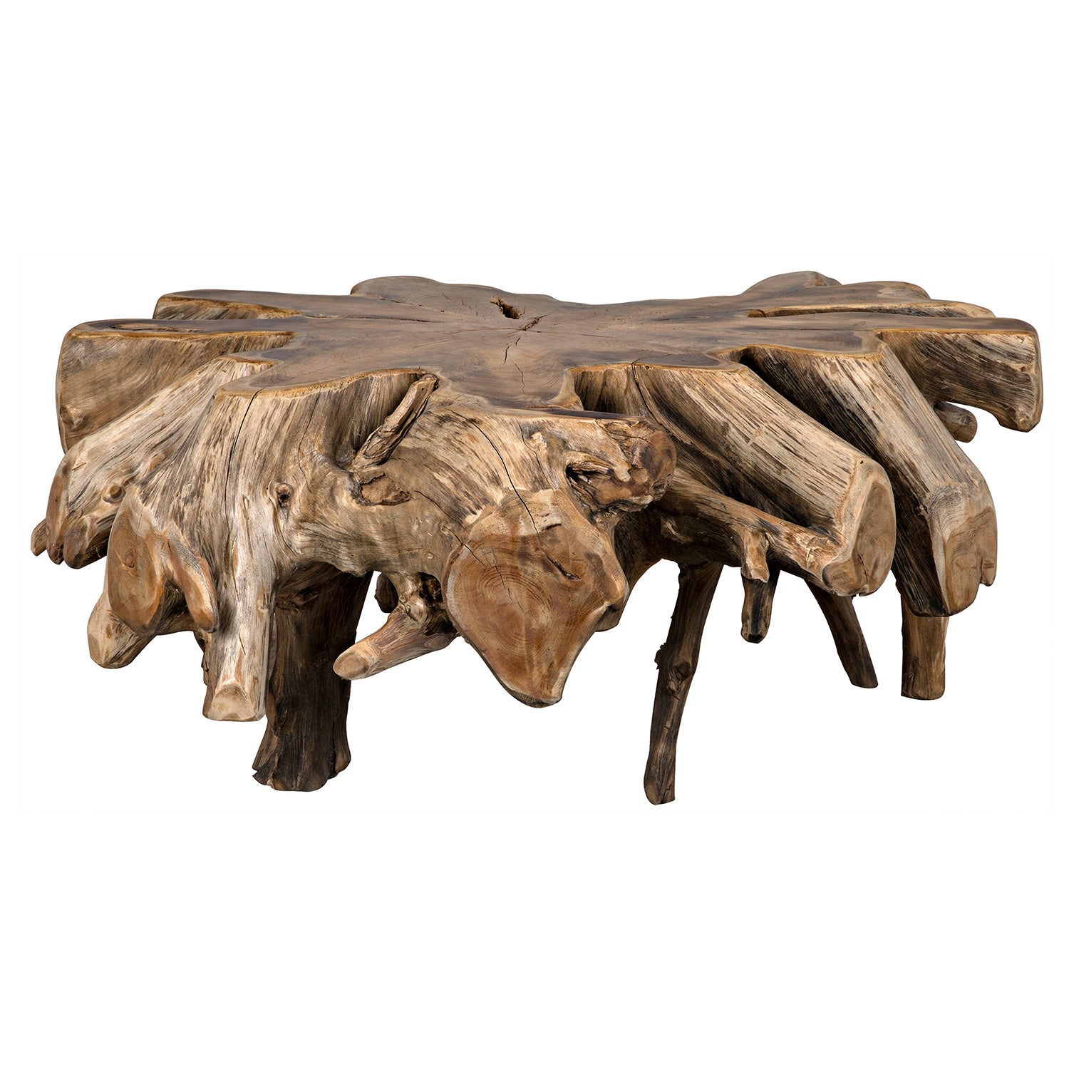 Noir Teak Root Coffee Table