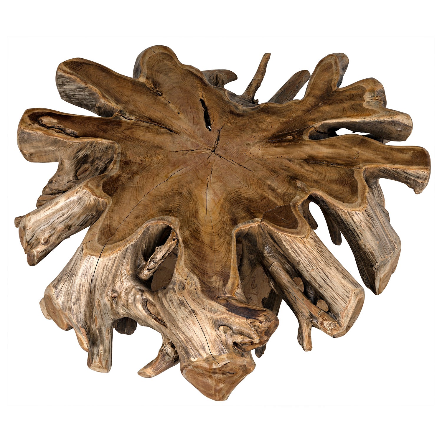 Noir Teak Root Coffee Table