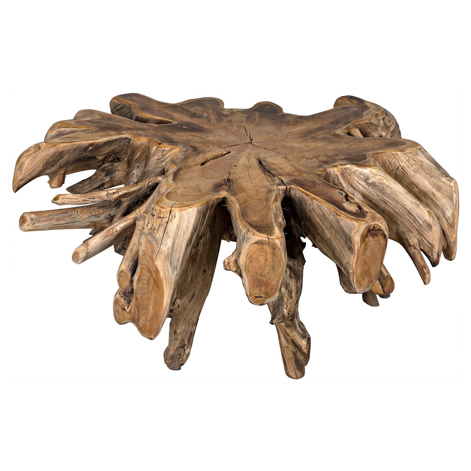 Noir Teak Root Coffee Table