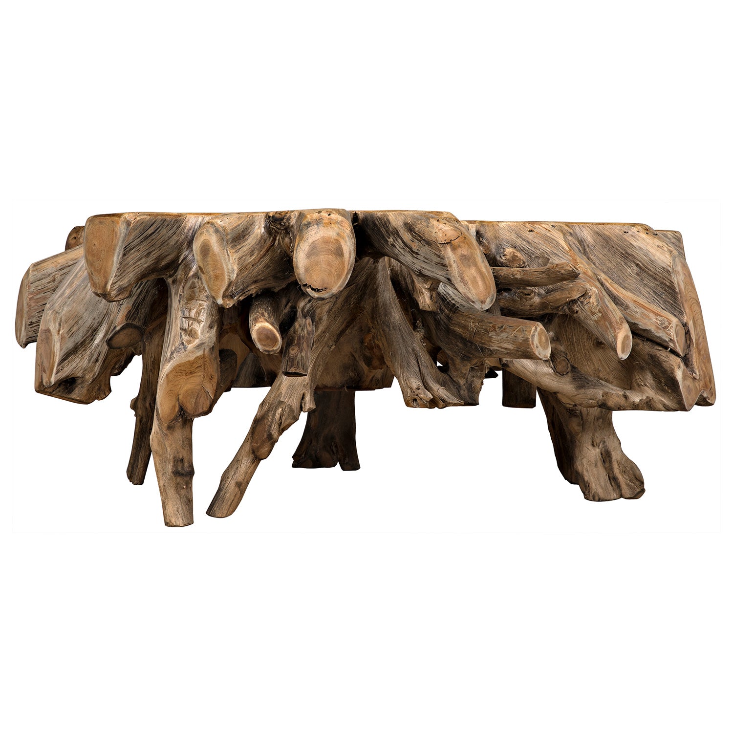 Noir Teak Root Coffee Table