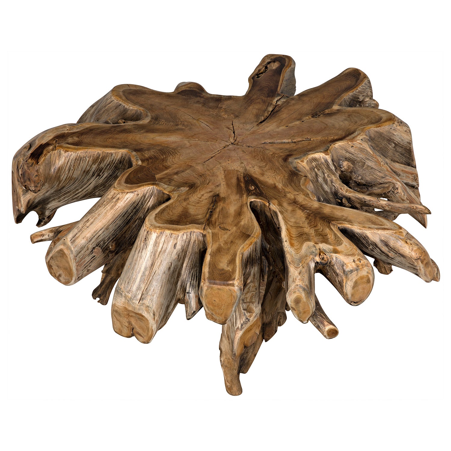 Noir Teak Root Coffee Table