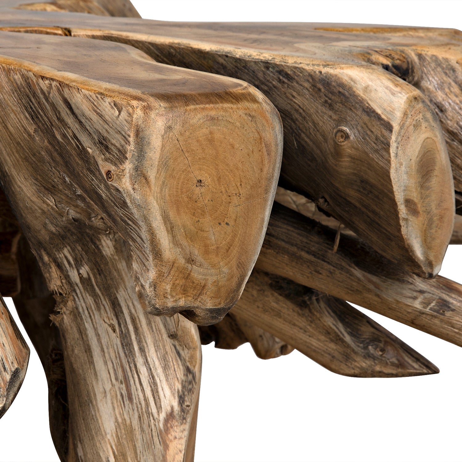 Noir Teak Root Coffee Table