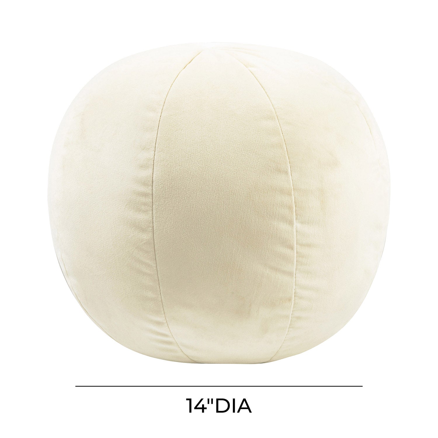 Rayne Velvet Throw Pillow