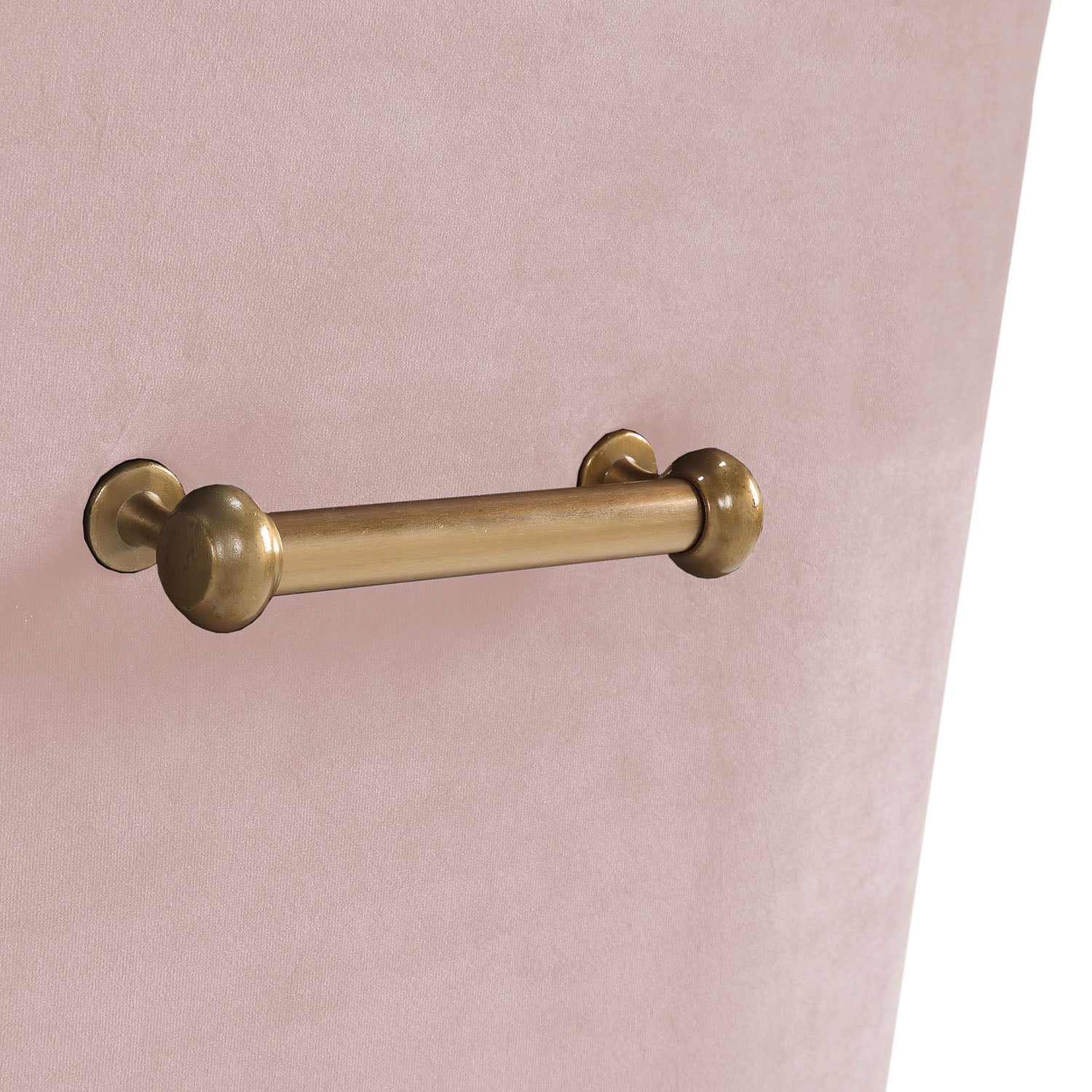 TOV Furniture Beatrix Velvet Side Chair