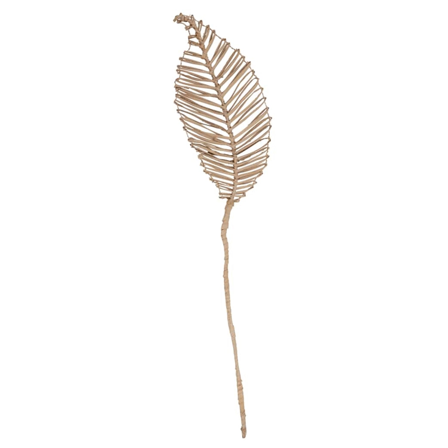 Planta VI Leaf Decor