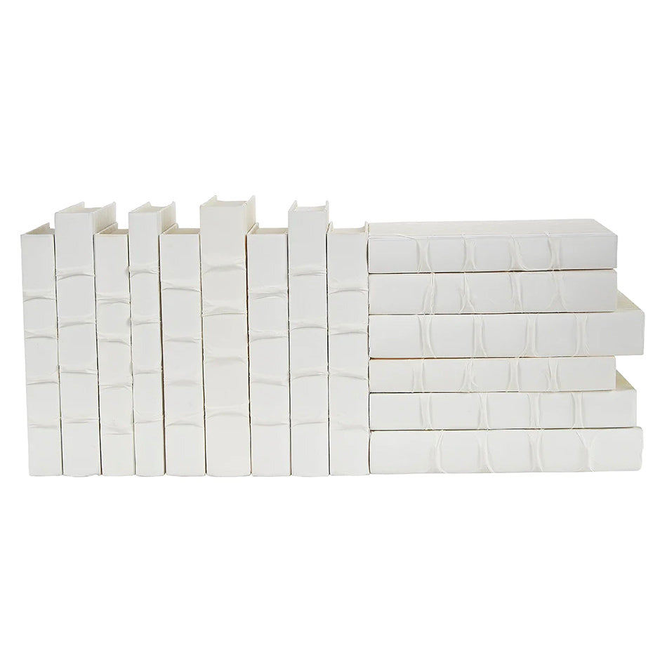 Parchment White Decorative Book Set of 15