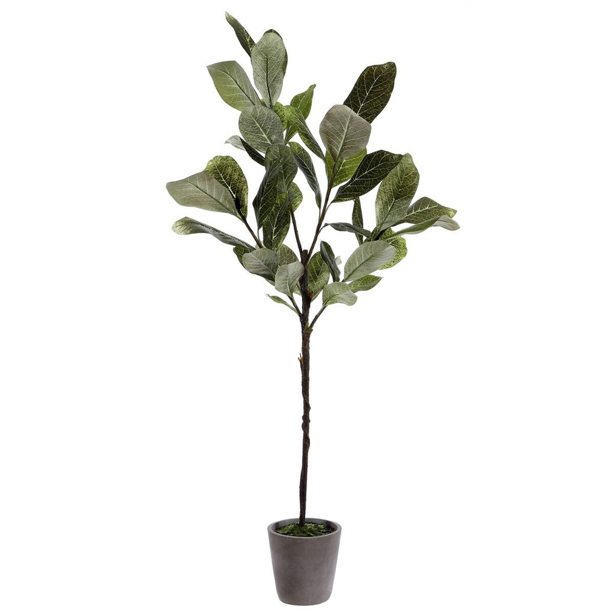 potted magnolia plant Faux Magnolia Potted Tree