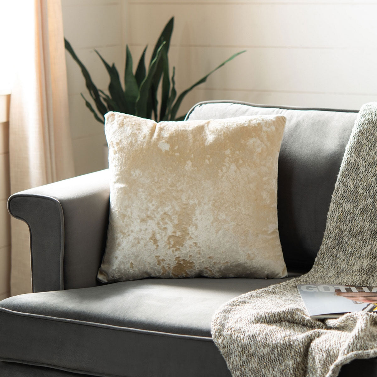 Ana Velvet Throw Pillow