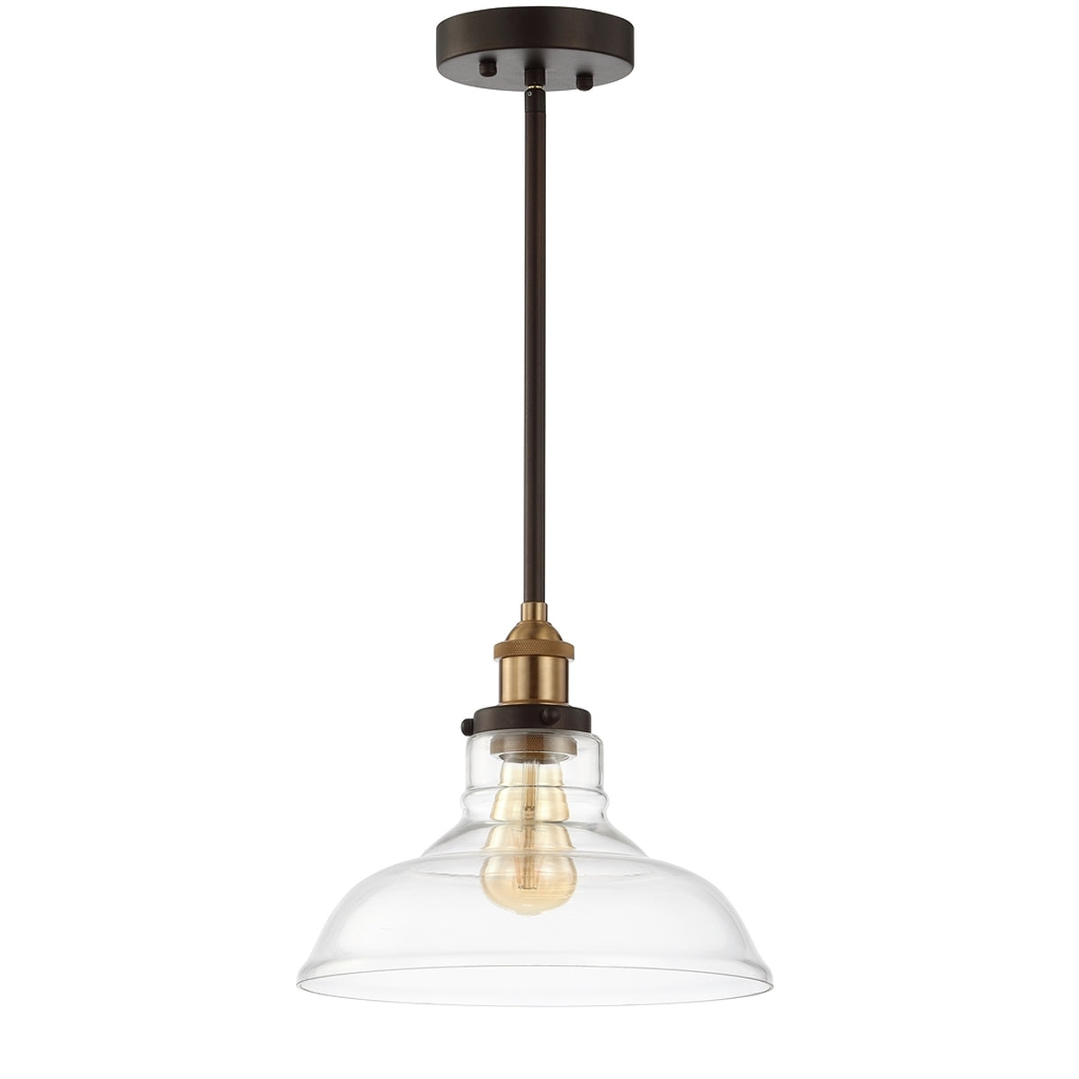 Latoya 1-Light Pendant