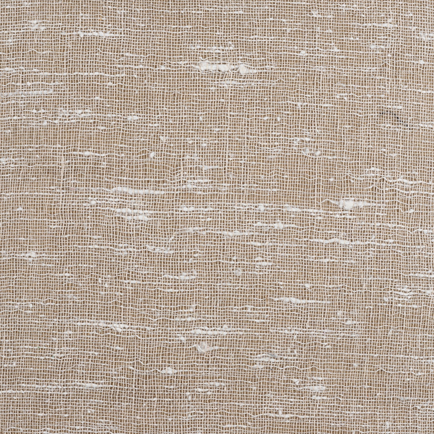 Elenore Throw Pillow