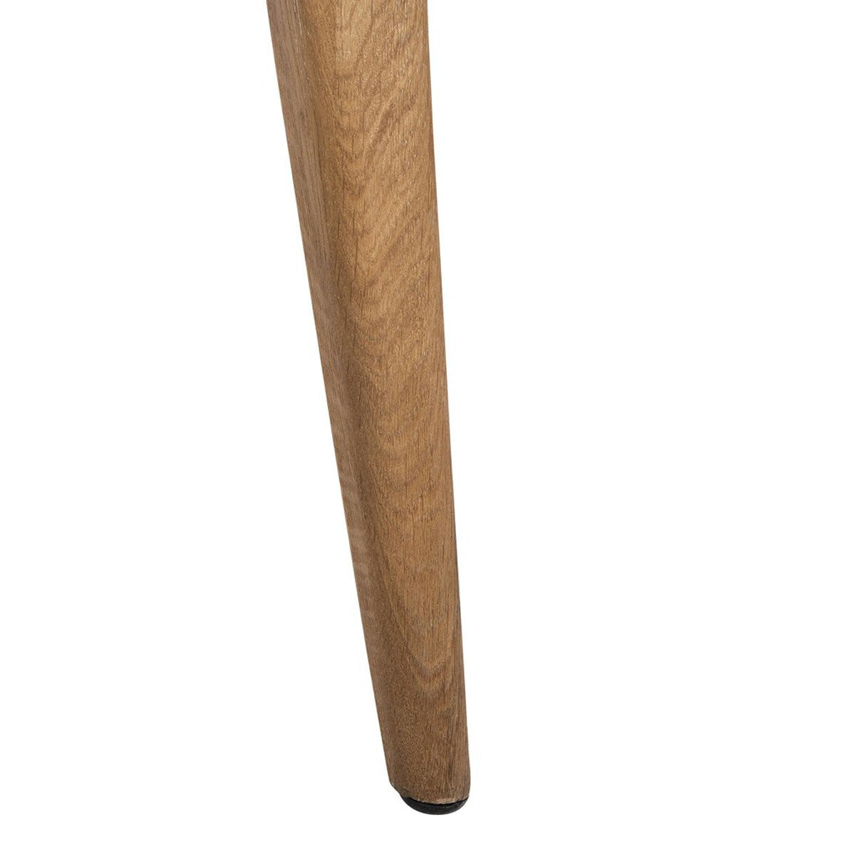 Young Contemporary Wingback Chair