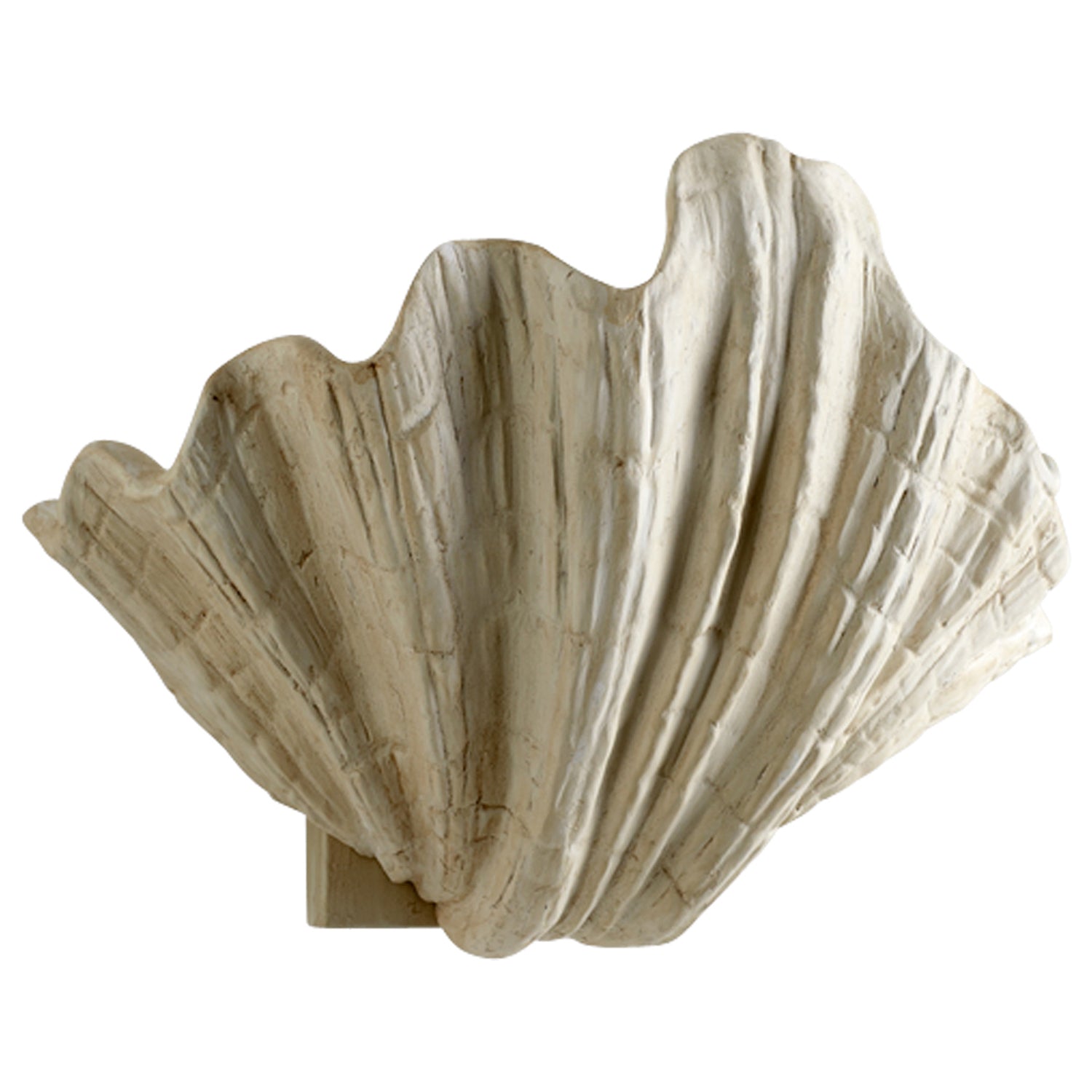 Cyan Design Shelly Wall Sconce