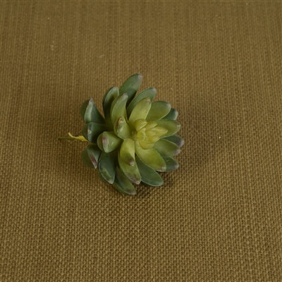 Faux Succulent Set of 3