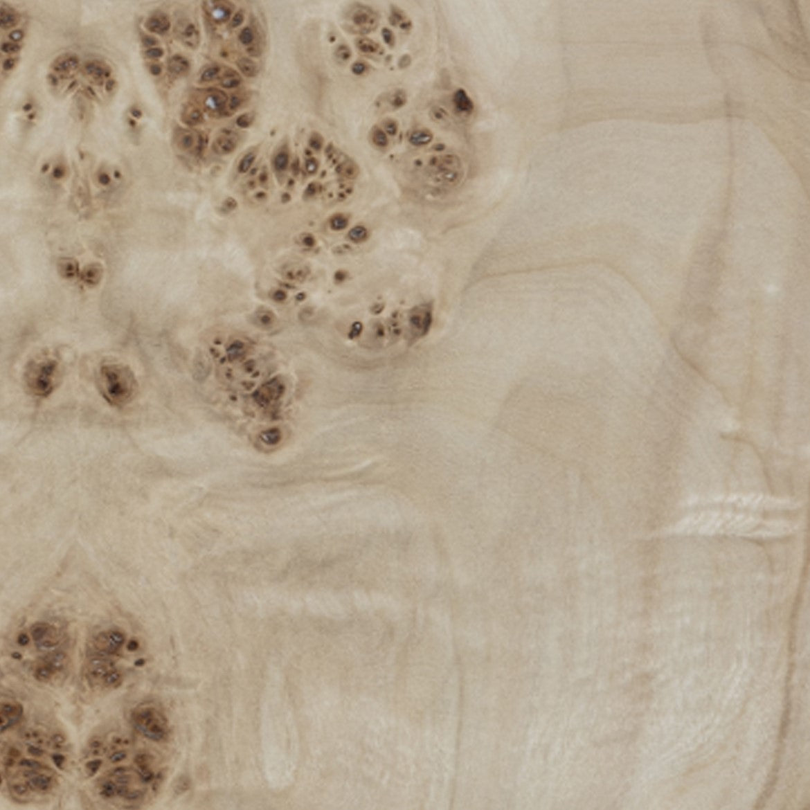 Co. House Designs Gregory Burl Light Buffet
