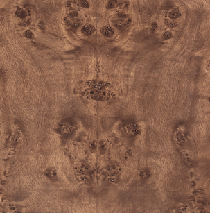 Co. House Designs Wesley Dark Burl Desk