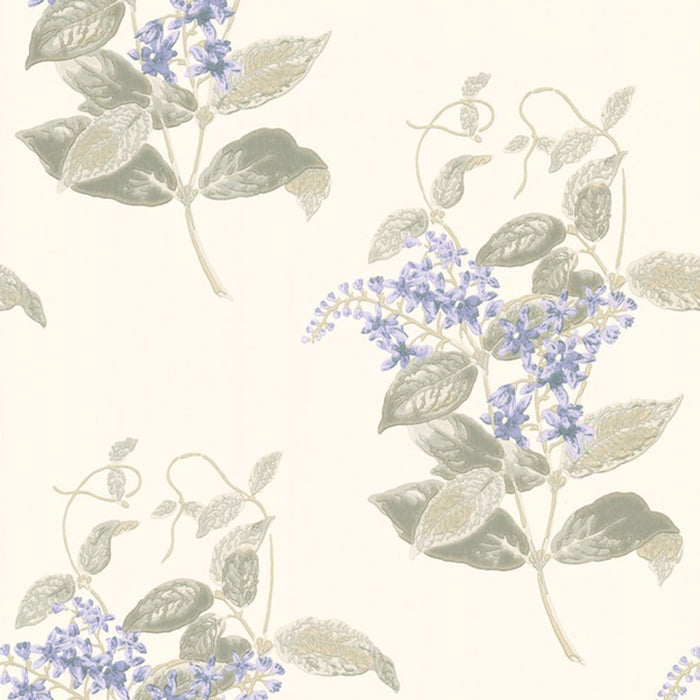 Cole & Son Anthology Madras Violet Wallpaper