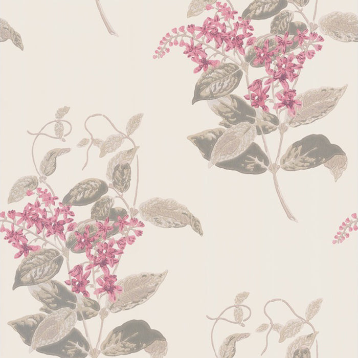 Cole & Son Anthology Madras Violet Wallpaper