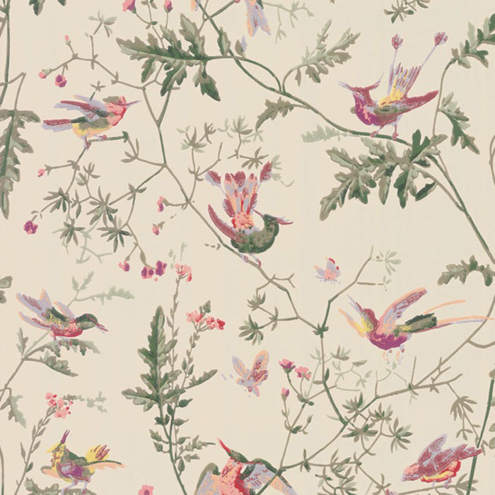 Cole & Son Selection of Hummingbirds Wallpaper