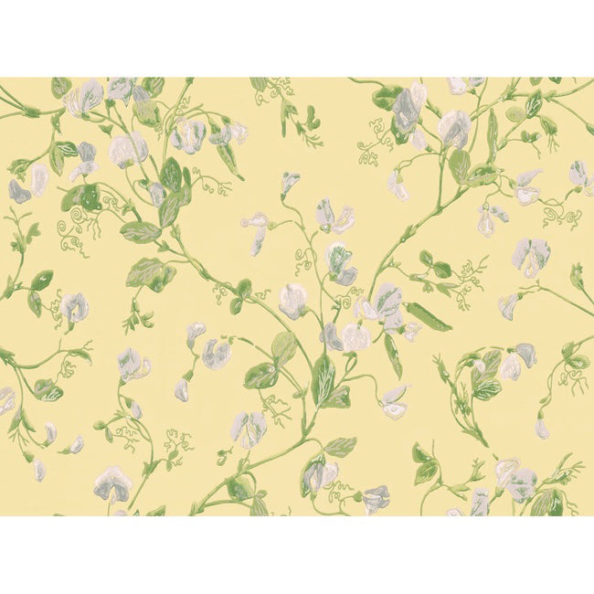 Cole & Son Anthology Sweet Pea Wallpaper