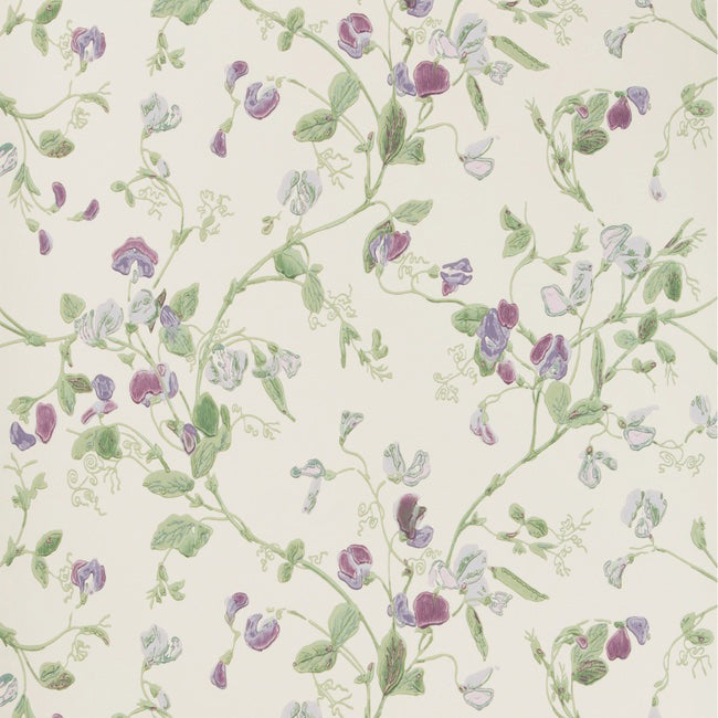 Cole & Son Anthology Sweet Pea Wallpaper