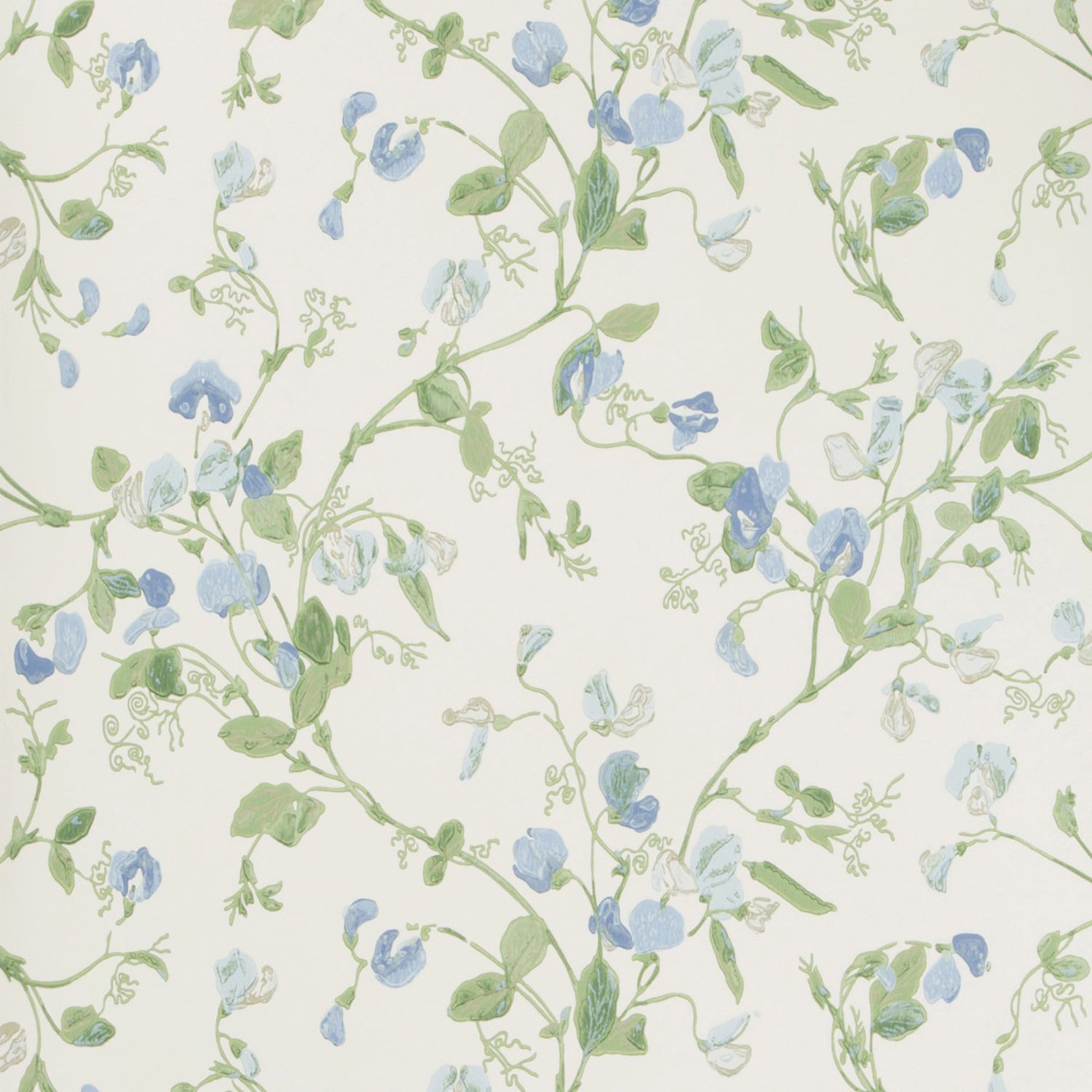 Cole & Son Anthology Sweet Pea Wallpaper