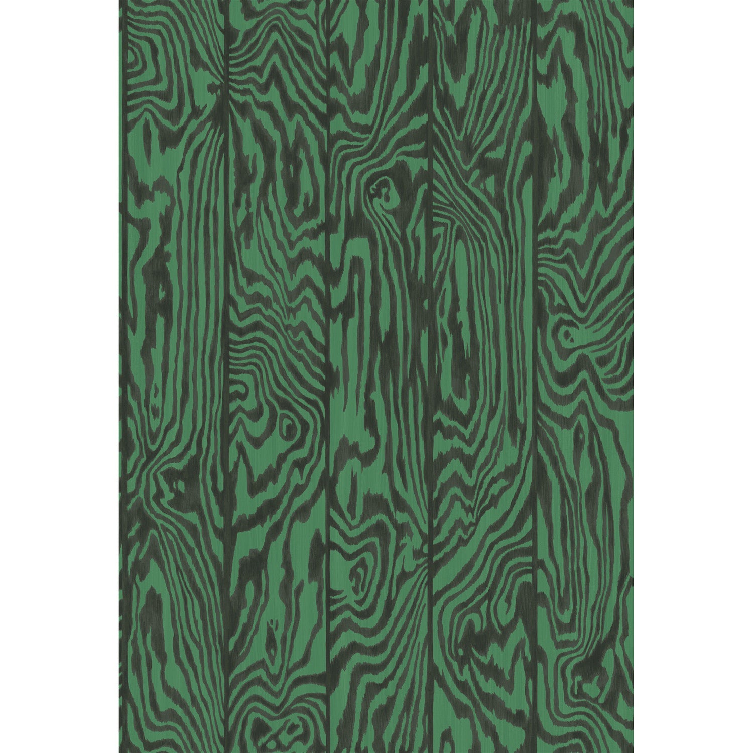 Cole & Son Curio Zebrawood Wallpaper