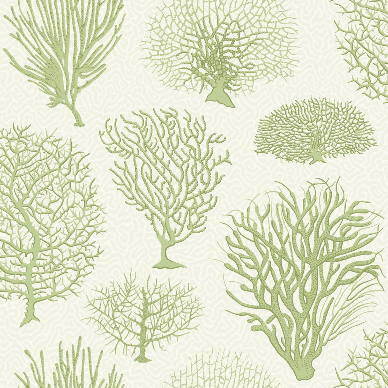 Cole & Son Curio Seafern Wallpaper