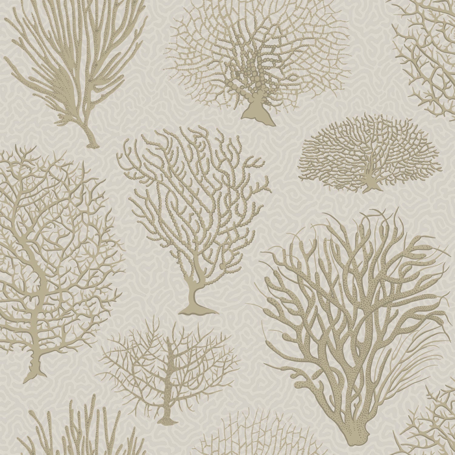 Cole & Son Curio Seafern Wallpaper