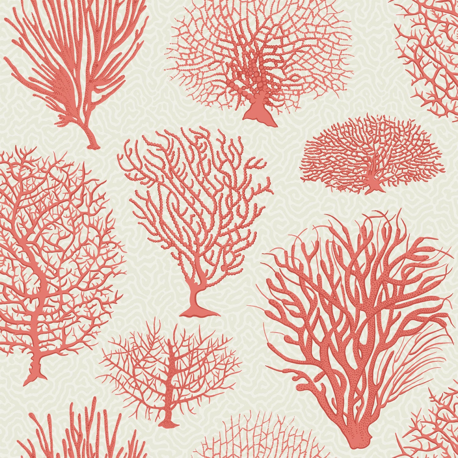 Cole & Son Curio Seafern Wallpaper