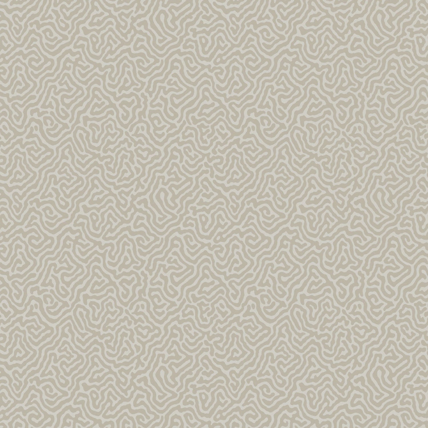Cole & Son Curio Vermicelli Wallpaper