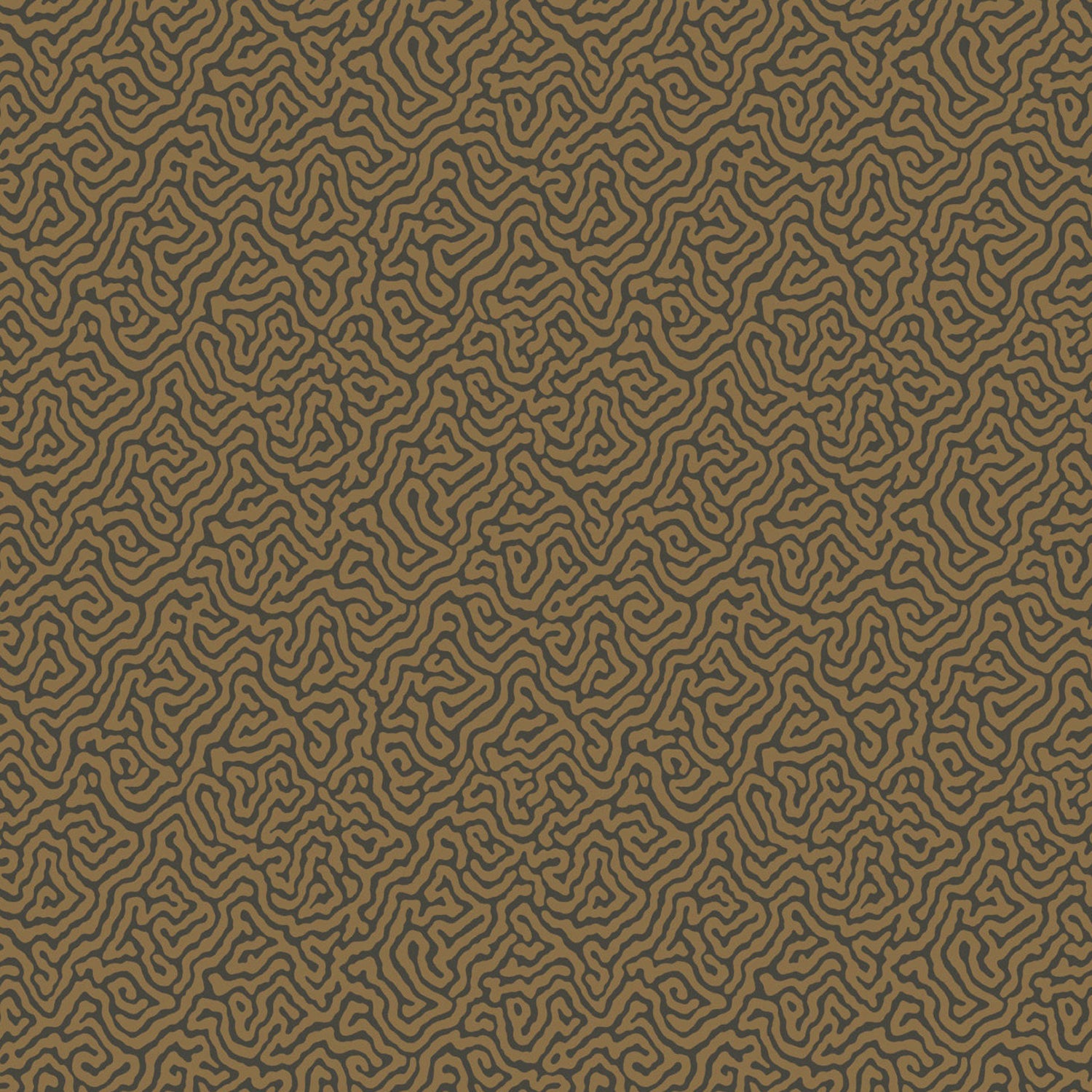 Cole & Son Curio Vermicelli Wallpaper