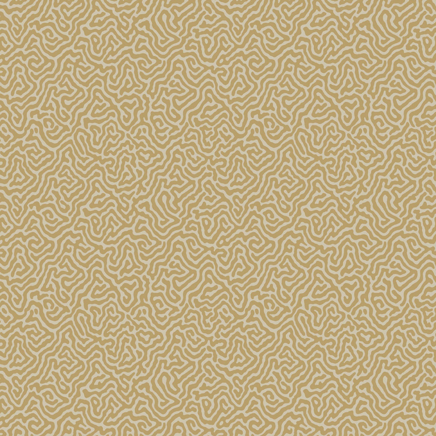 Cole & Son Curio Vermicelli Wallpaper