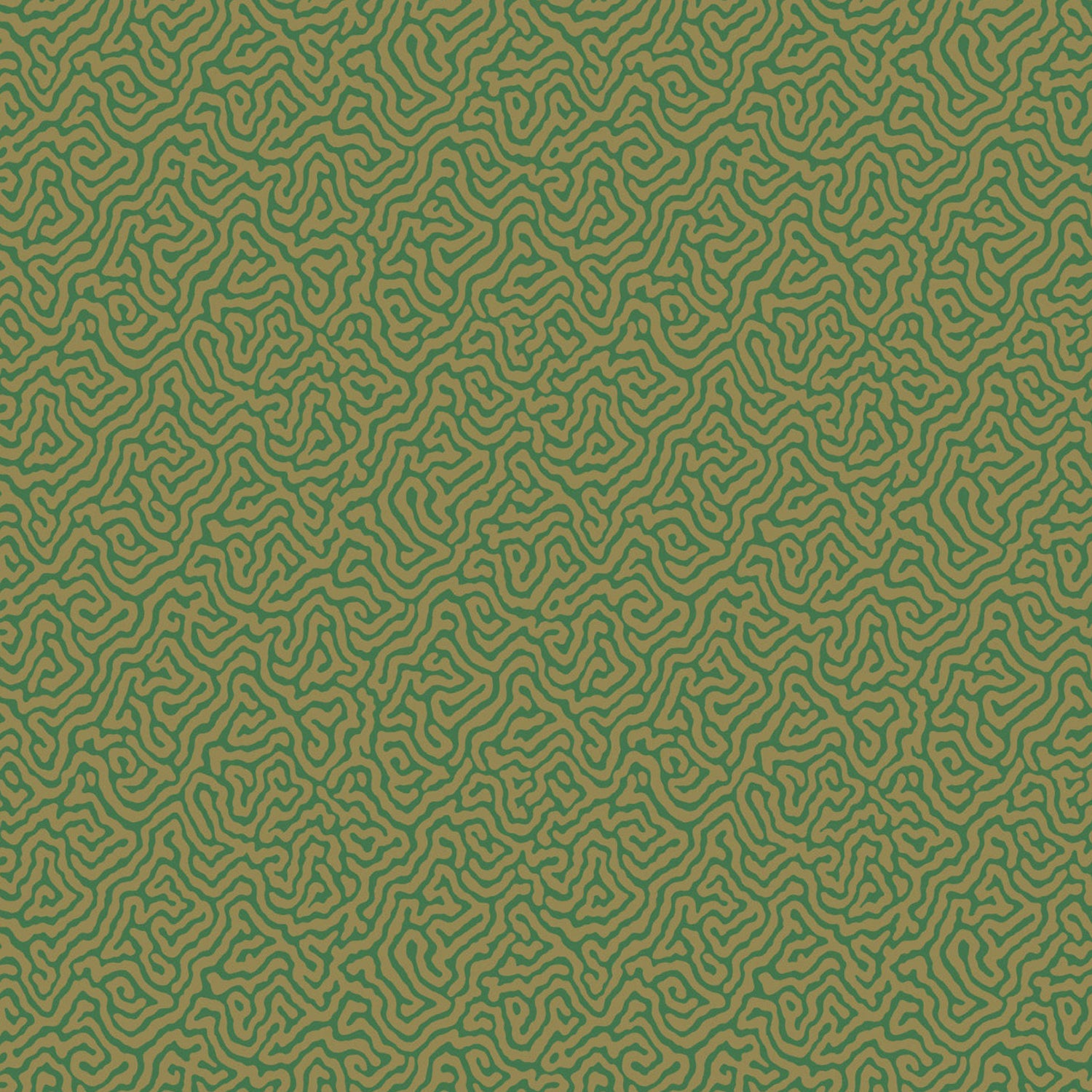 Cole & Son Curio Vermicelli Wallpaper