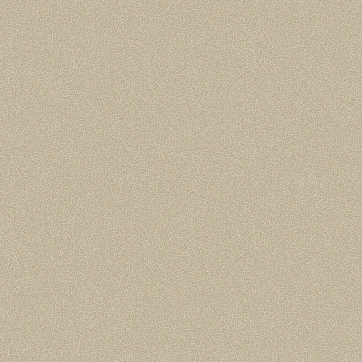 Cole & Son Curio Goldstone Wallpaper