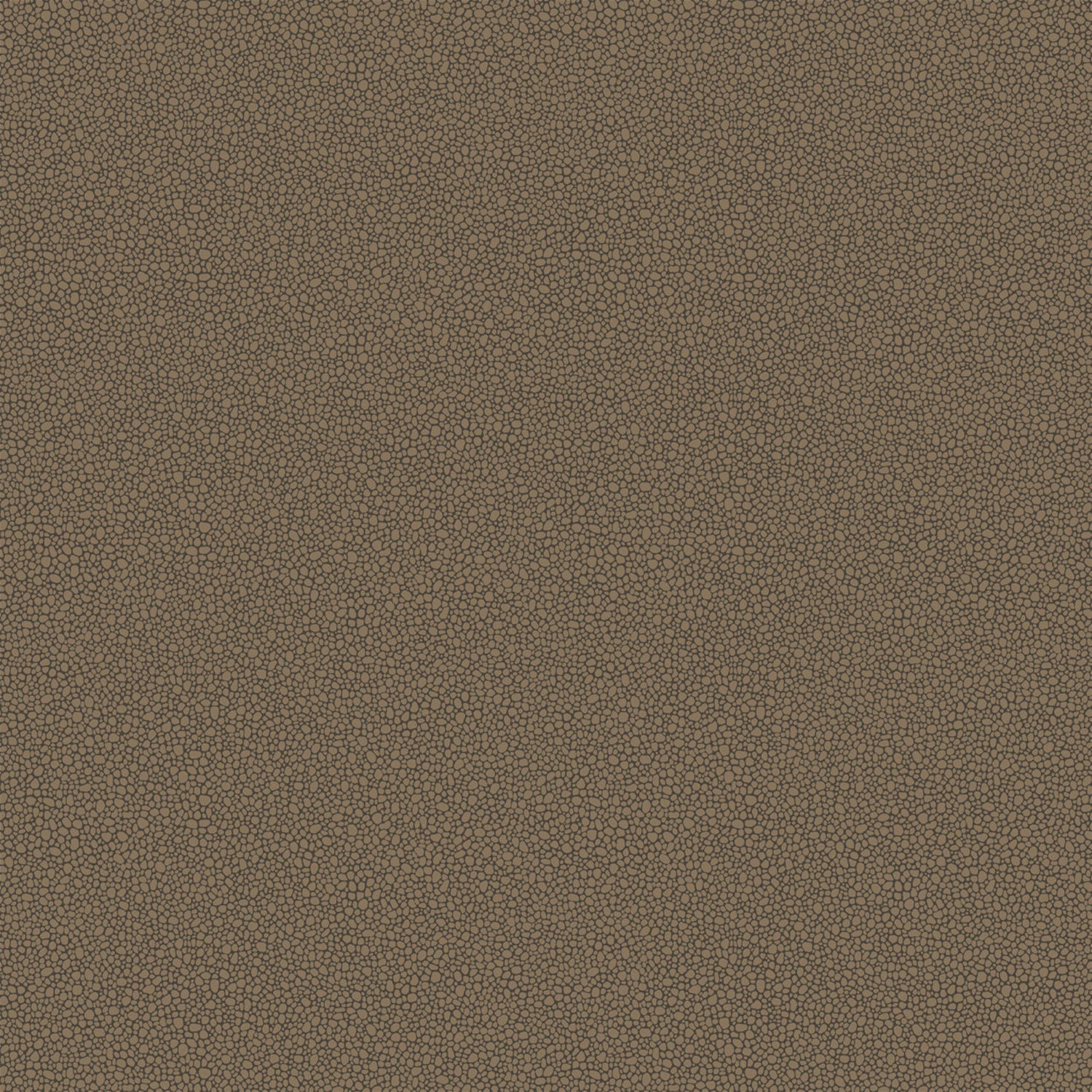 Cole & Son Curio Goldstone Wallpaper