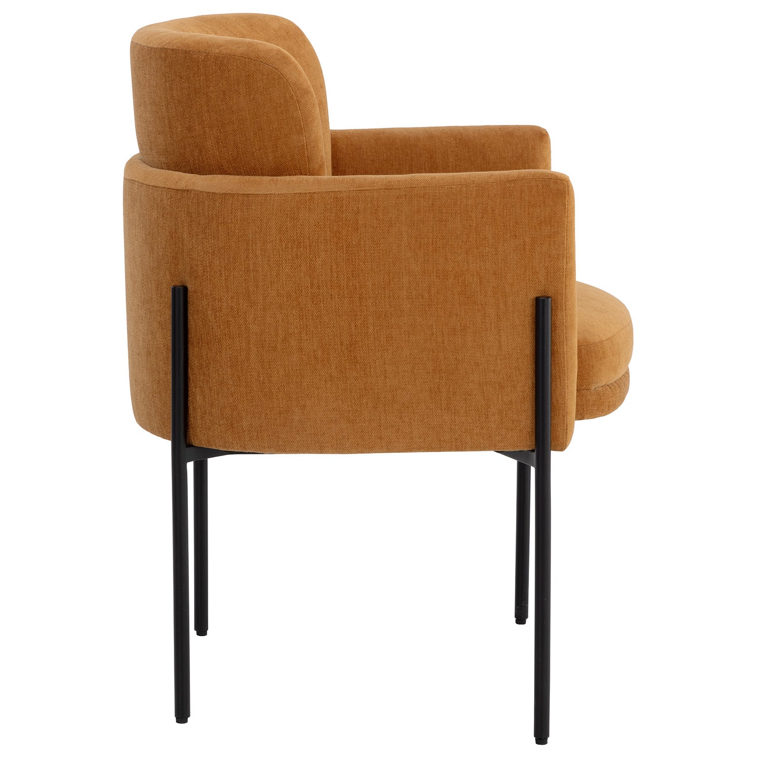 Sunpan Richie Dining Armchair