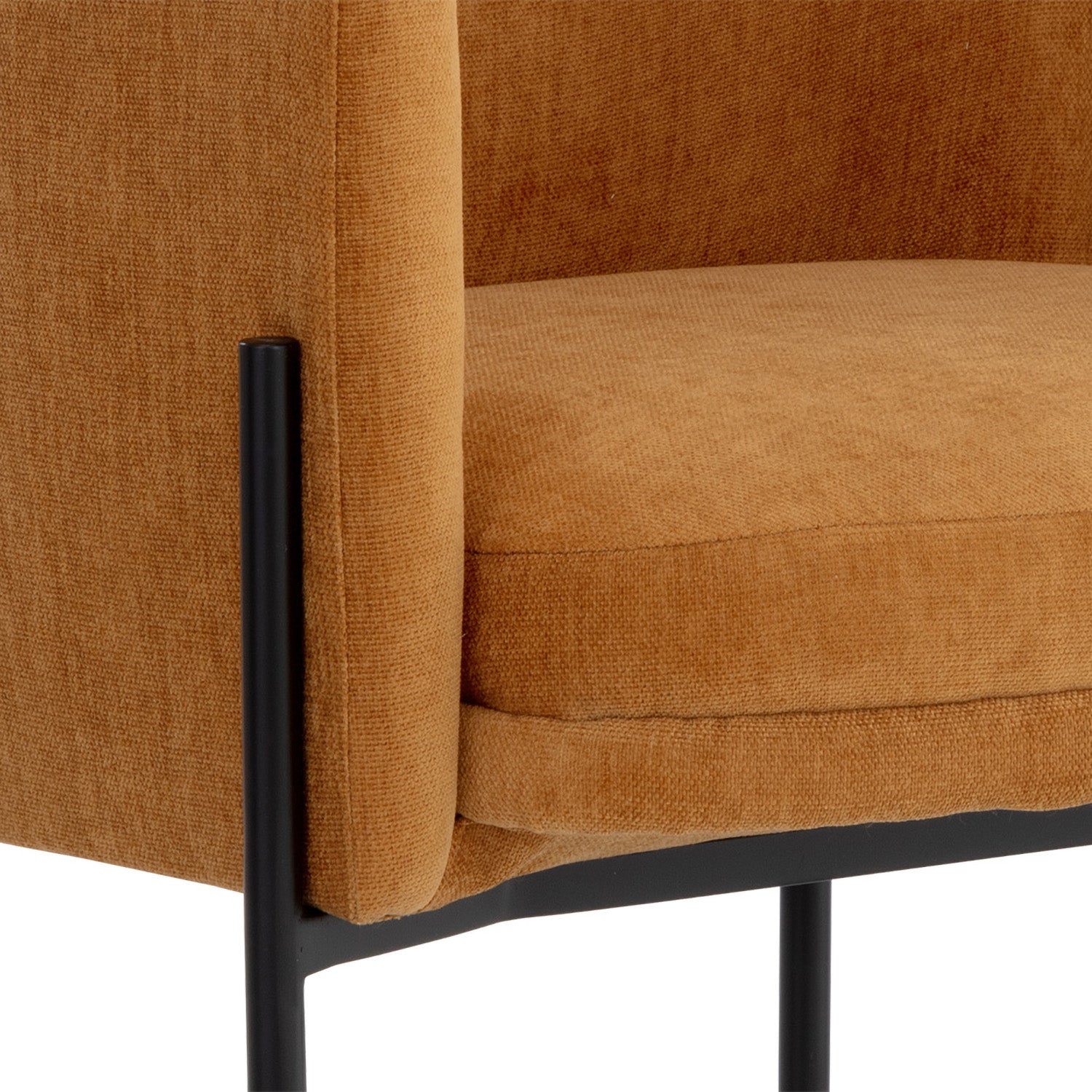 Sunpan Richie Dining Armchair