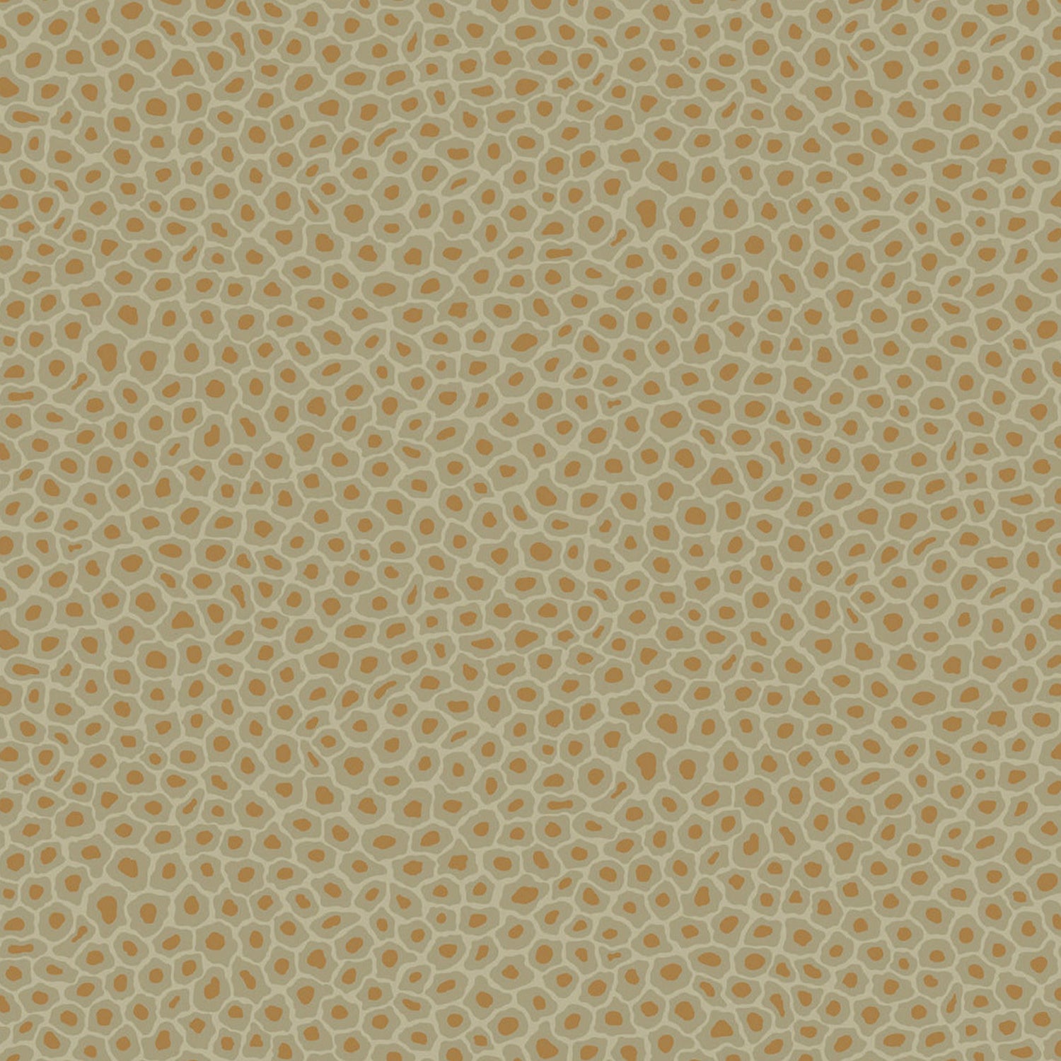 Cole & Son Ardmore Senzo Spot Wallpaper