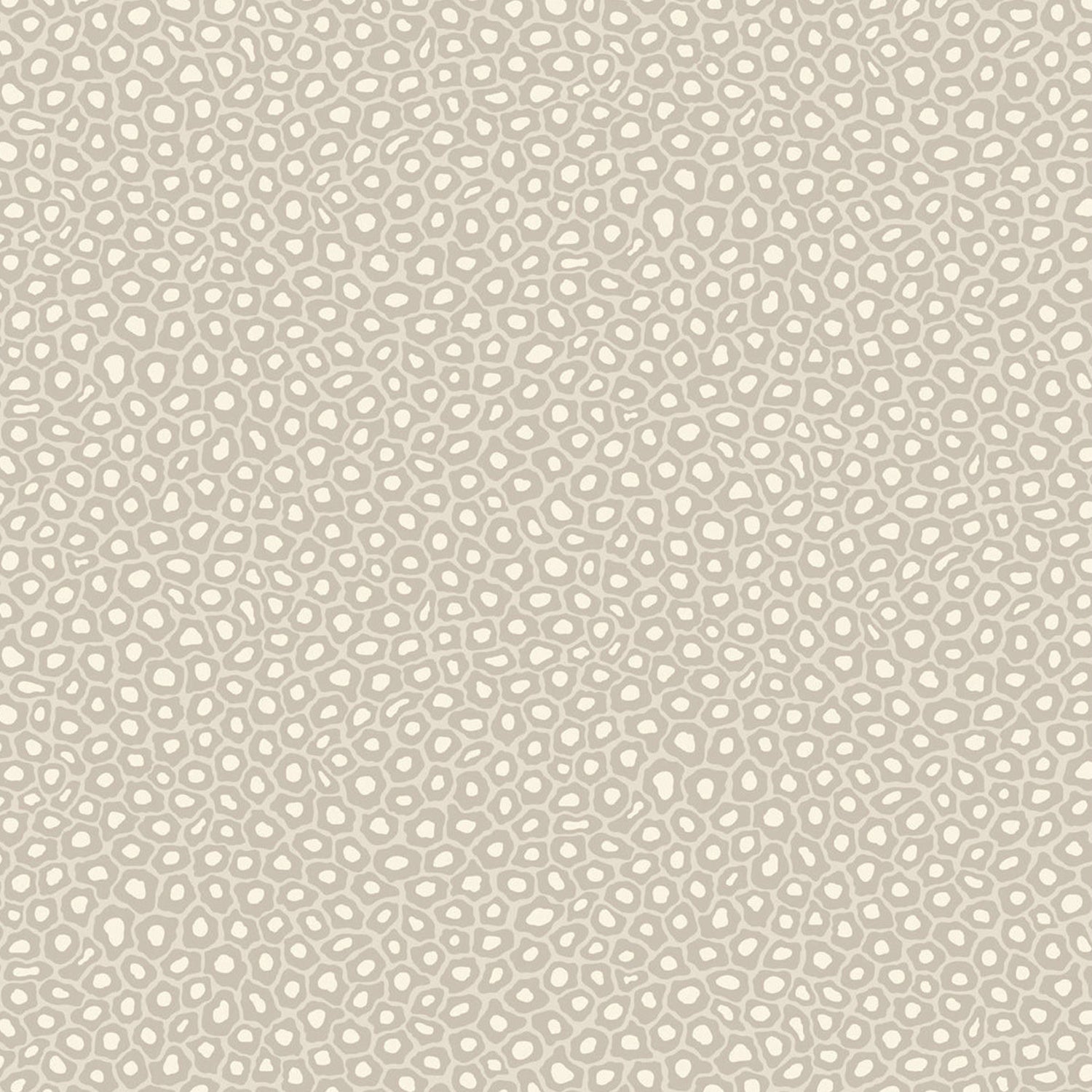 Cole & Son Ardmore Senzo Spot Wallpaper