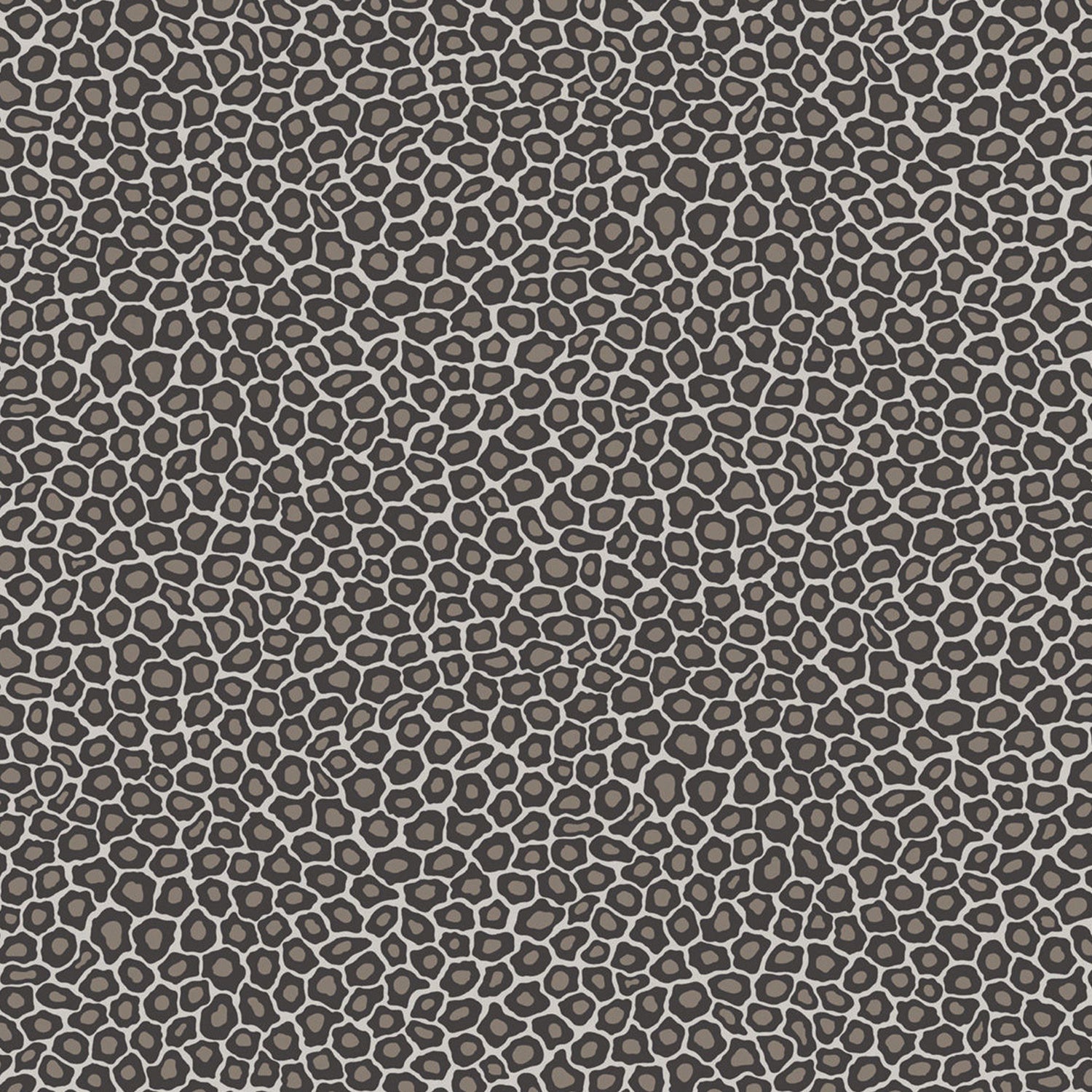 Cole & Son Ardmore Senzo Spot Wallpaper