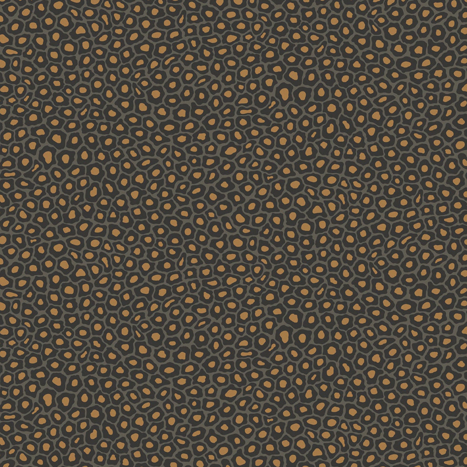 Cole & Son Ardmore Senzo Spot Wallpaper